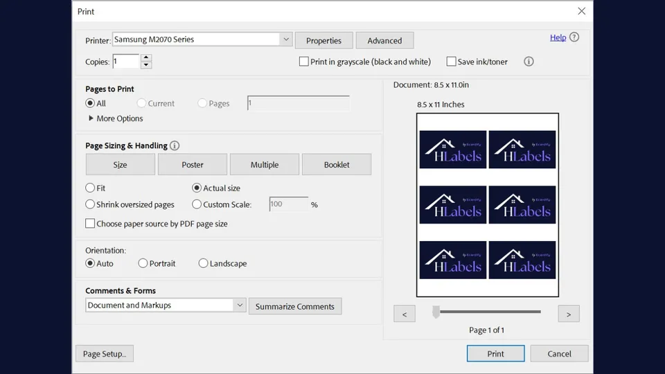 Print dialog window of a PDF reader application