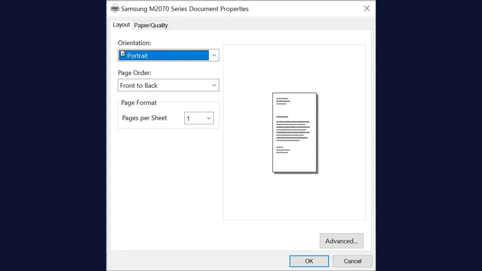 Dialog window showing printer software settings