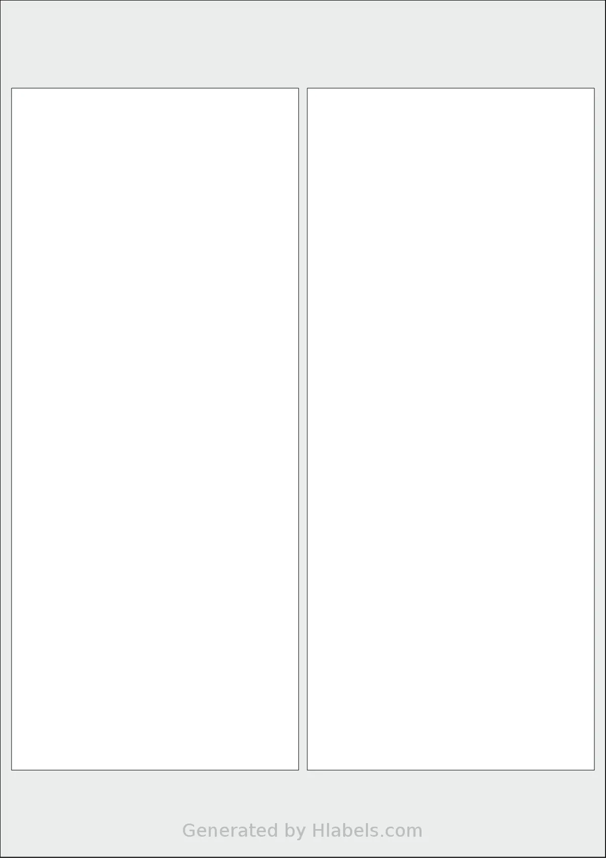 AALabels® AARZ02 template with 2 rectangular 99.5 x 236 millimeter labels per sheet, on A4-size adhesive blank label sheets.