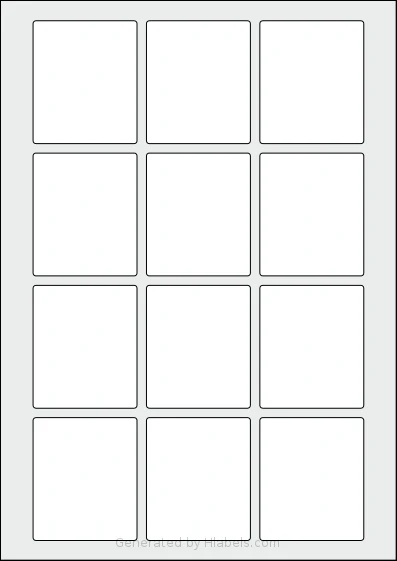 Flexilabels® FN12 template with 12 rectangular 55 x 65 millimeter labels per sheet, on A4-size adhesive blank label sheets.