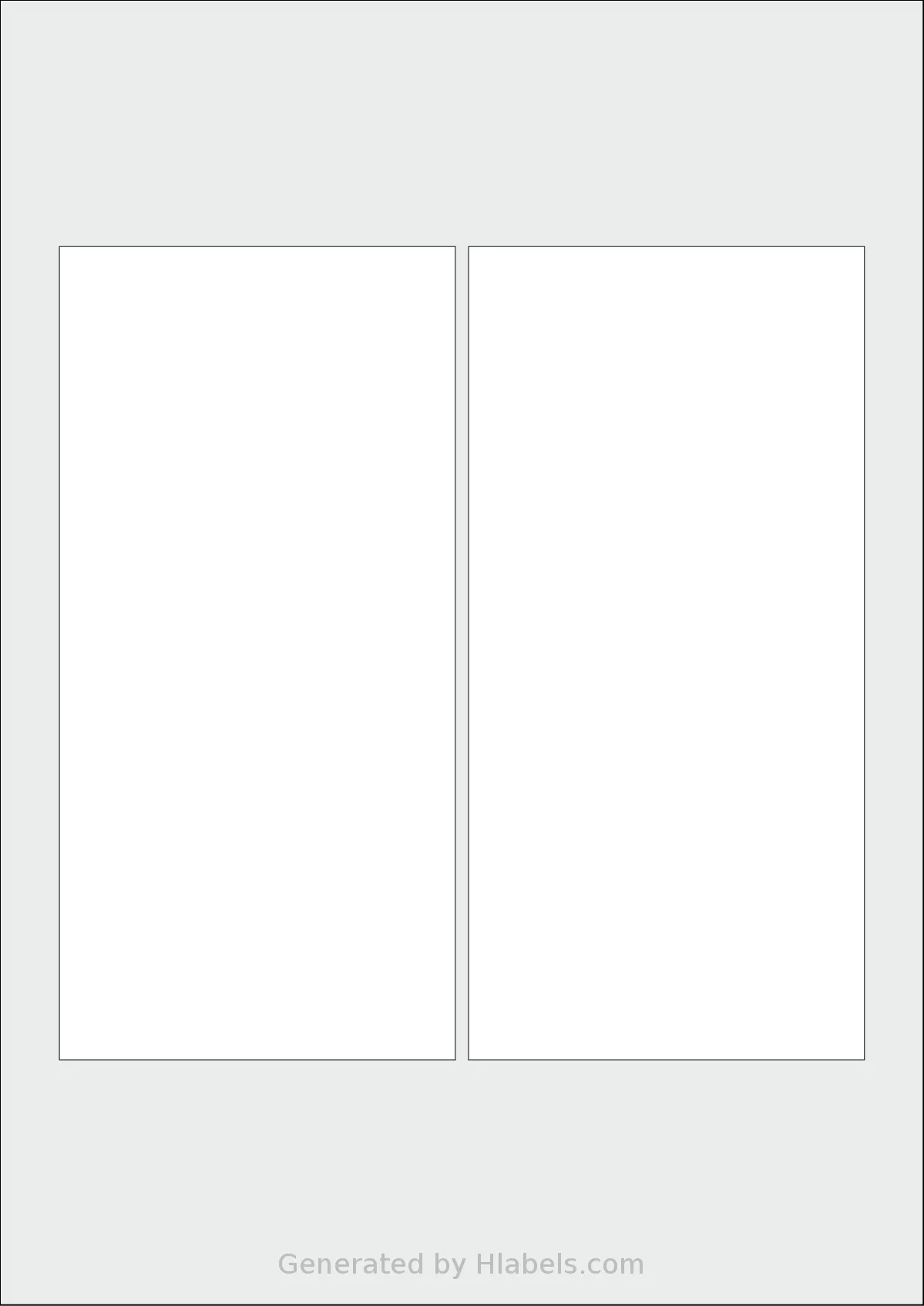 Flexilabels® FRM2 template with 2 rectangular 90 x 185 millimeter labels per sheet, on A4-size adhesive blank label sheets.
