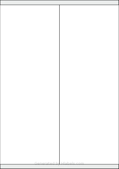 Tanex® TW-2380 template with 2 rectangular 105 x 280 millimeter labels per sheet, on A4-size adhesive blank label sheets.