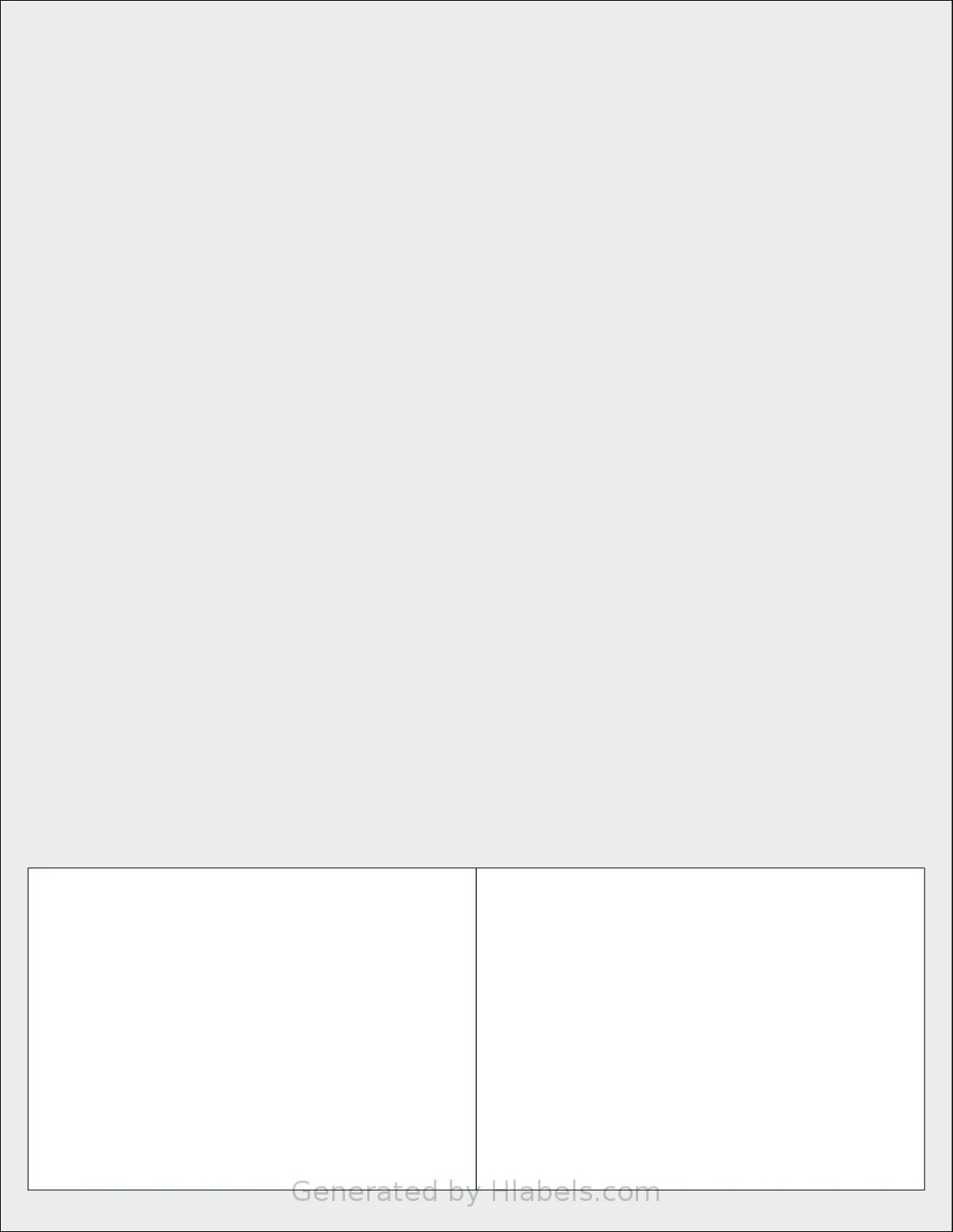 SmithCorona® S913BB template with 2 rectangular 4 x 2.875 inch labels per sheet, on Letter-size adhesive blank label sheets.